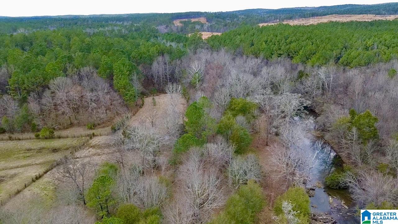 576 Gunlock Street Montevallo, AL 35115 - Photo 6 of 76
