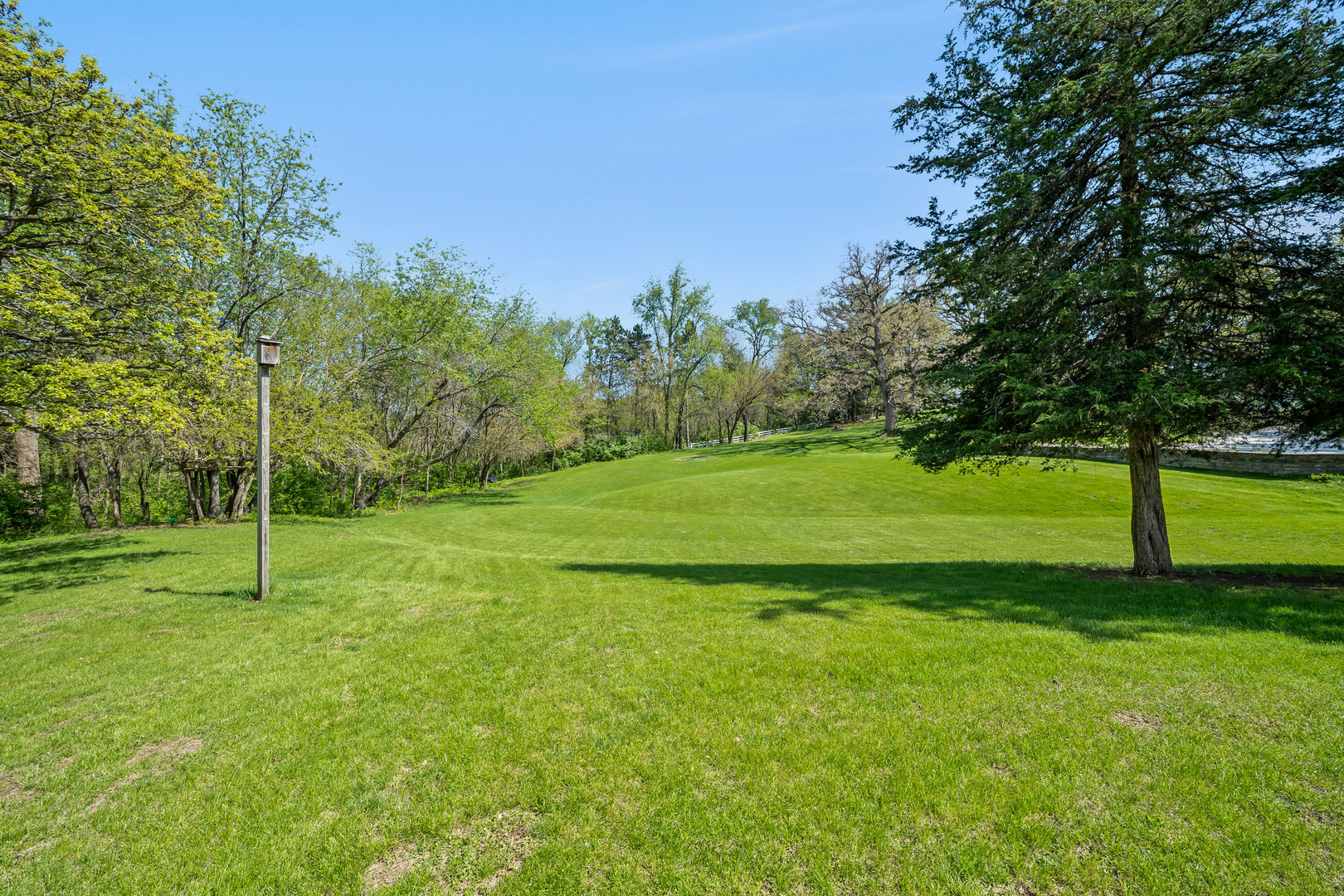 24146 Stage Coach Road Geneseo, IL 61254 - Photo 32 of 39 a view of a field with a tree
