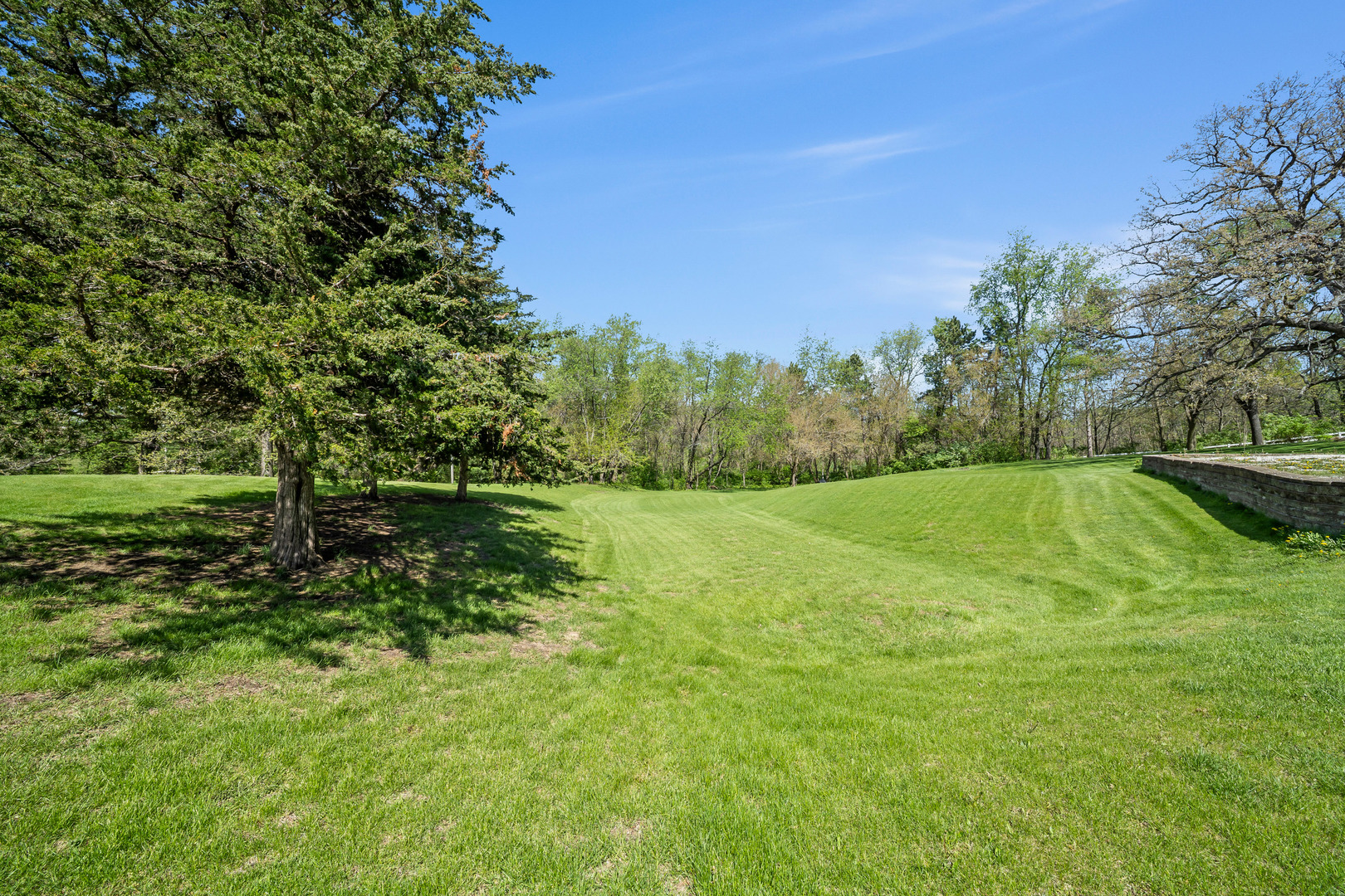 24146 Stage Coach Road Geneseo, IL 61254 - Photo 5 of 39 a view of a field with a tree
