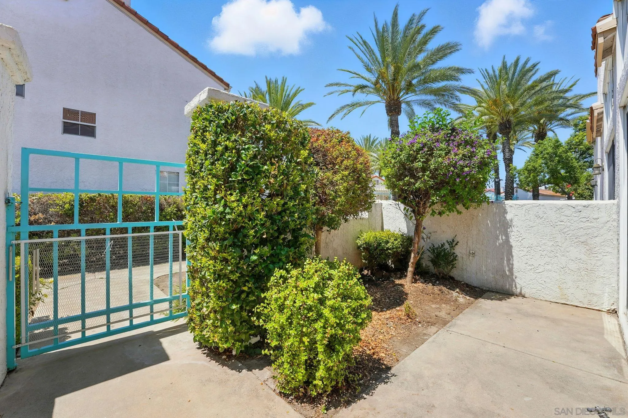 29581 Cara Way Temecula, CA 92591 - Photo 21 of 24 a potted plant sitting in front of a window