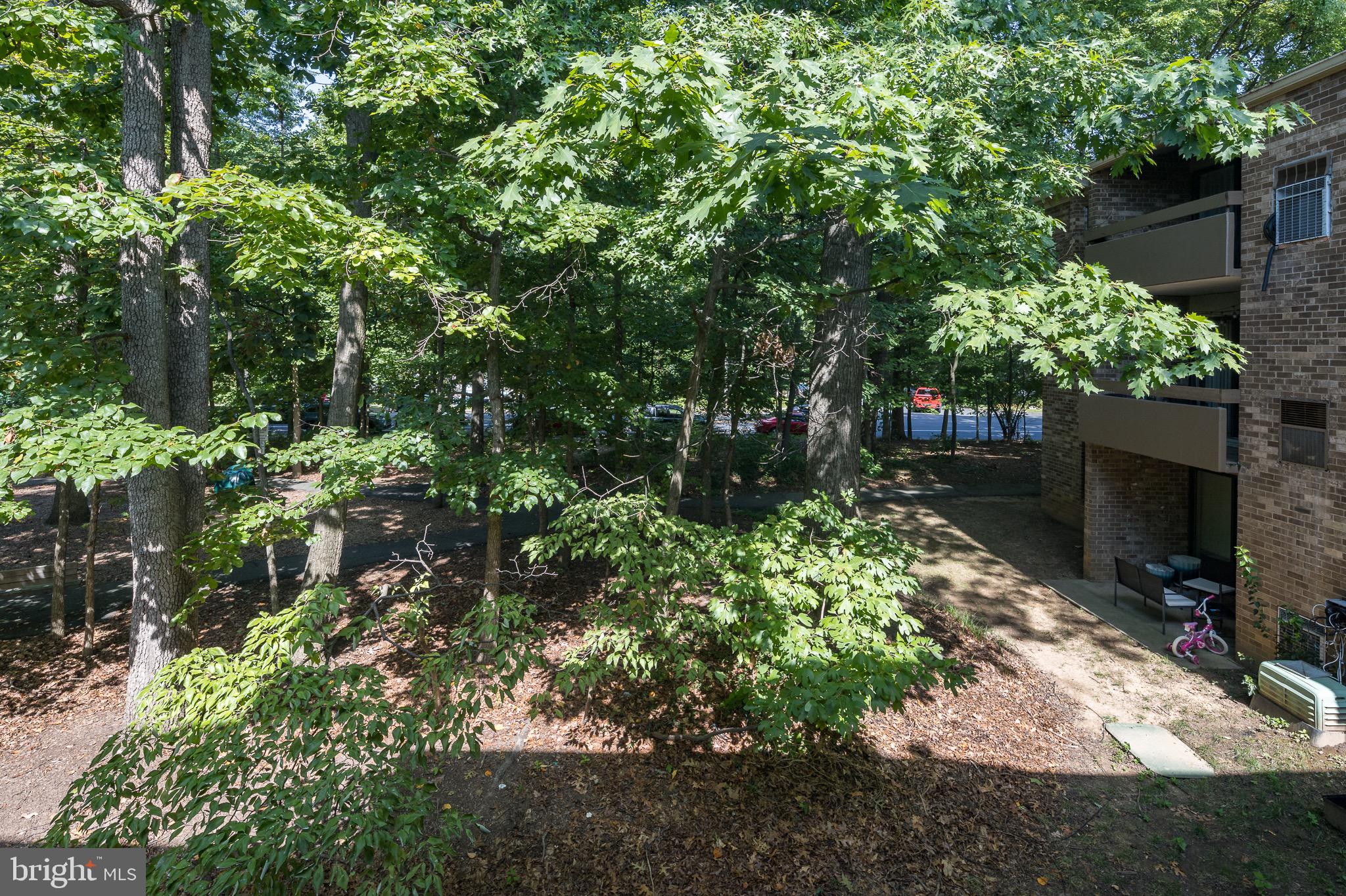 2332 Freetown Court, Unit 11C Reston, VA 20191 - Photo 11 of 34