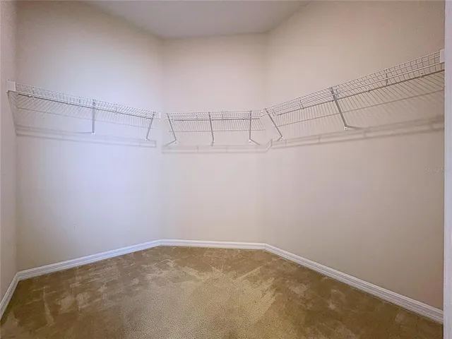 $2,900 | 11345 American Holly Drive, Riverview, FL 33578