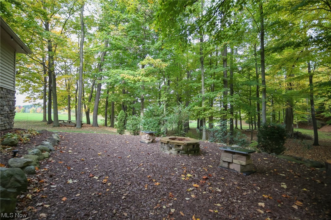 215 Georgetown-Damascus Road Beloit, OH 44609 - Photo 30 of 37 Your own private park