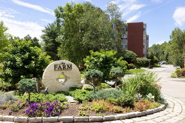 a view of a bird bath