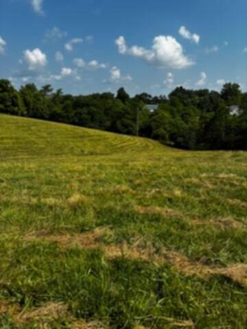 0 Buckettown Road Richmond, KY 40475 - Photo 4 of 9 att.dyBFdQtAjcIJHrdJ35jVozBluHS57loDTKRf