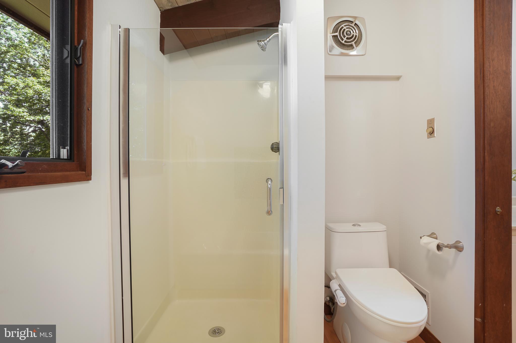 709 Springloch Road Silver Spring, MD 20904 - Photo 17 of 42 Primary Shower