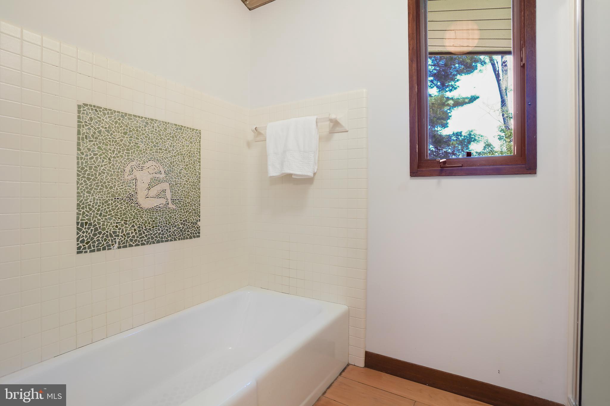 709 Springloch Road Silver Spring, MD 20904 - Photo 18 of 42 Primary Bathtub