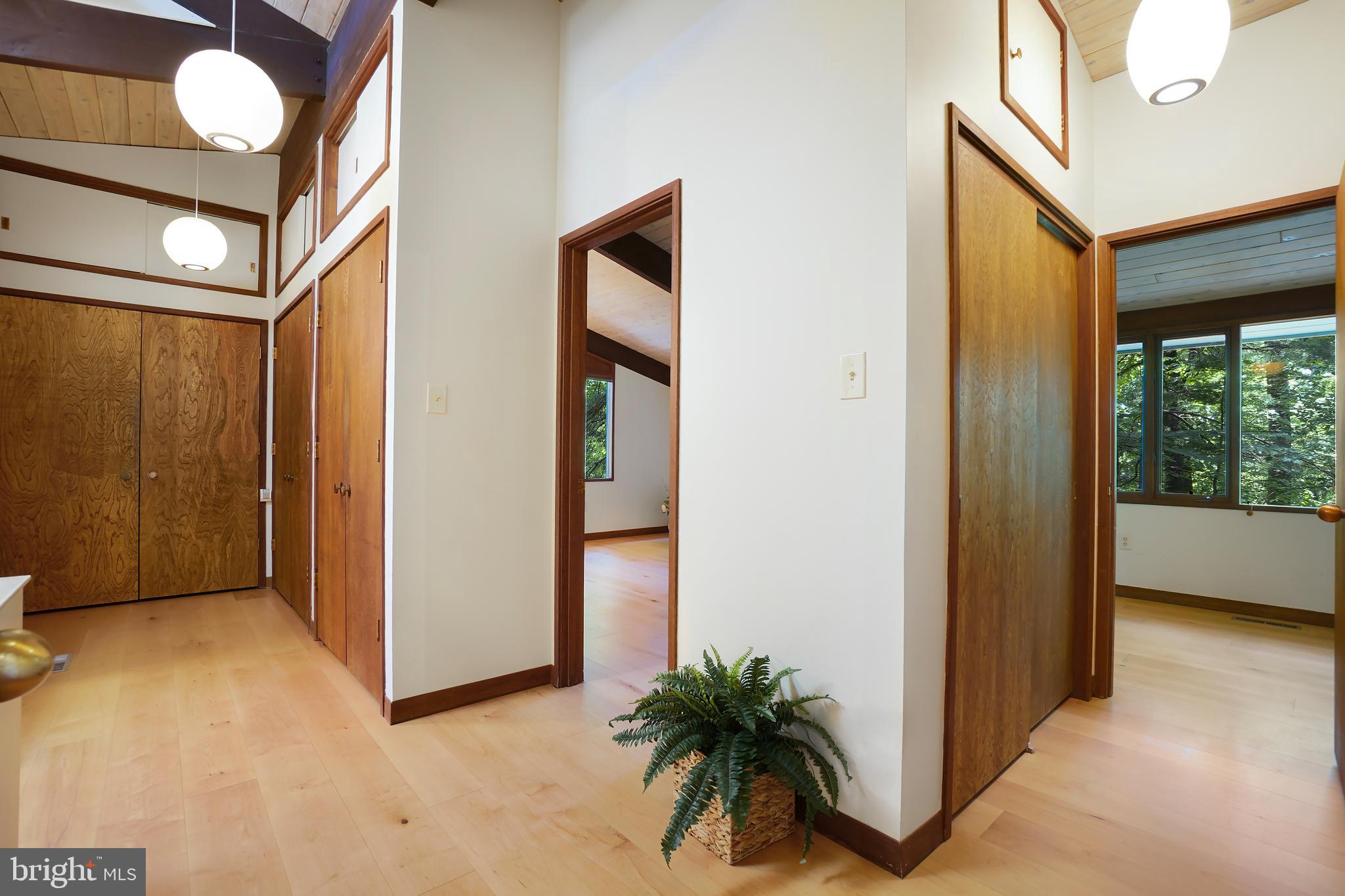 709 Springloch Road Silver Spring, MD 20904 - Photo 19 of 42 Primary Suite Closets and Upper Storage