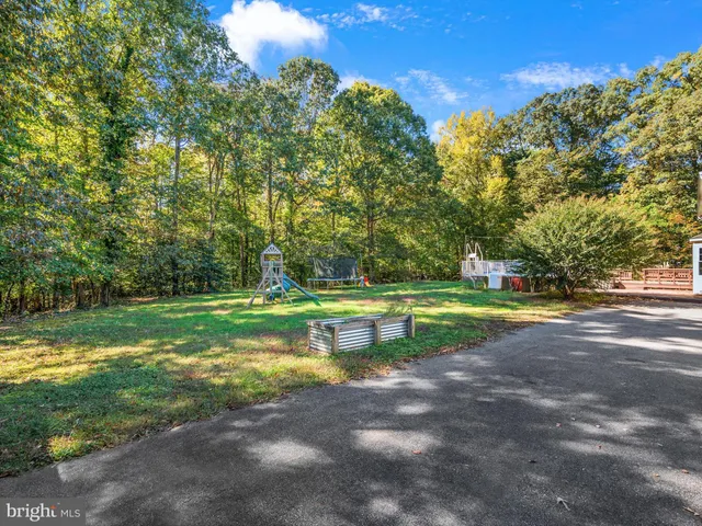 a view of a park with large trees
