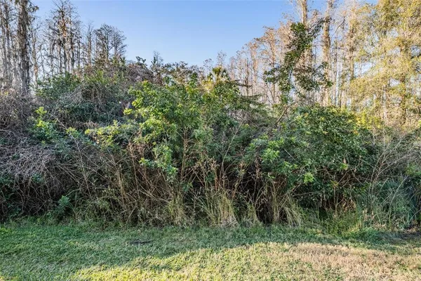 $2,100 | 1827 Hammocks Avenue, Unit 1827, Lutz, FL 33549