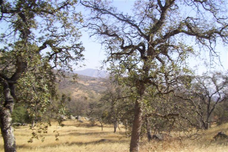 168 Longview Road Squaw Valley, CA 93675 - Photo 1 of 5 Gallery Image 1
