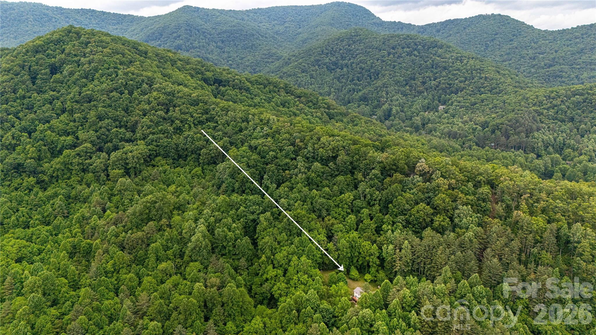 658 Tilley Creek Road Cullowhee, NC 28723 - Photo 39 of 41