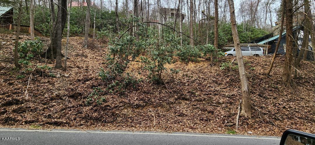 Lot 45 Ski Mountain Road Gatlinburg, TN 37738 - Photo 2 of 5 2