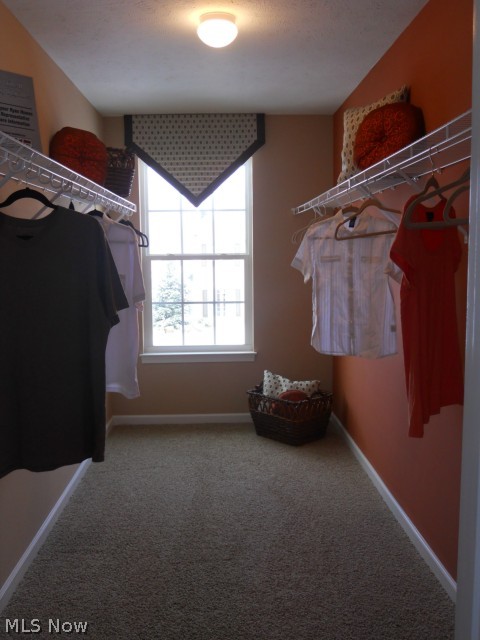 108 Harvest Ridge Way North Ridgeville, OH 44035 - Photo 16 of 16 Gallery Image 16
