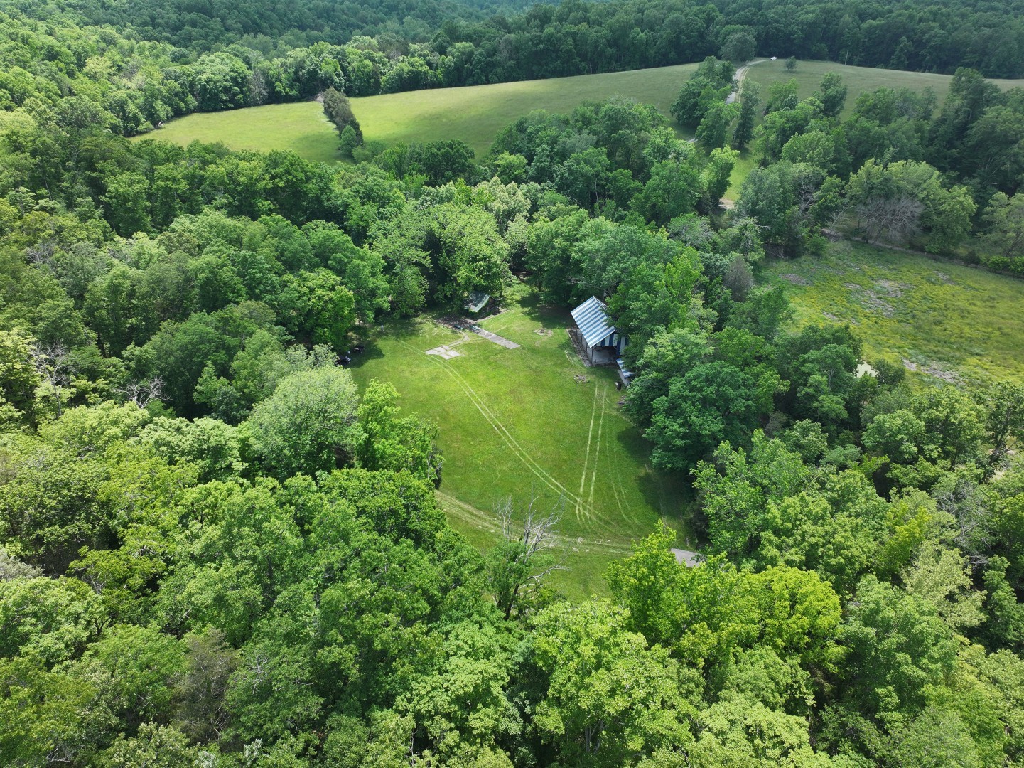 110 Wade Reed Road White Bluff, TN 37187 - Photo 62 of 80