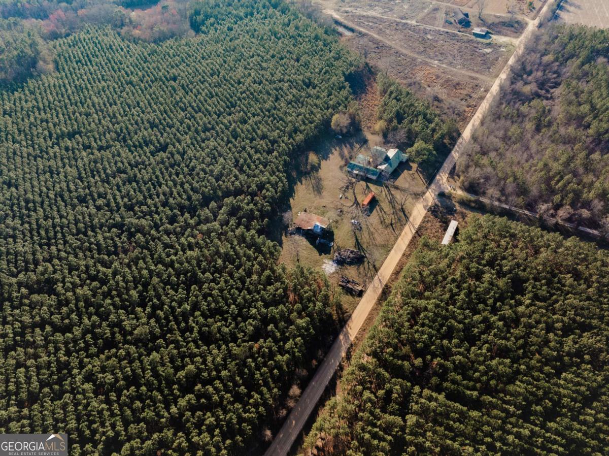 858 Hoke Ogden Road Odum, GA 31555 - Photo 2 of 23