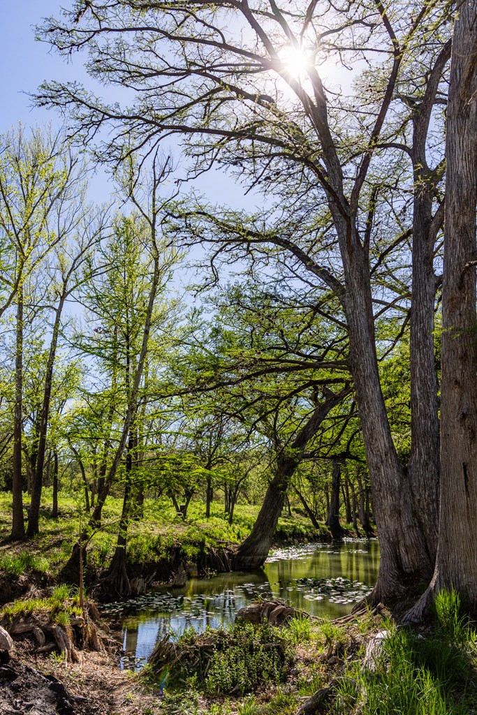190 Other Boerne, TX 78006 - Photo 13 of 40