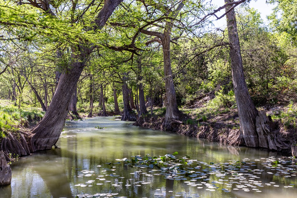 190 Other Boerne, TX 78006 - Photo 14 of 40