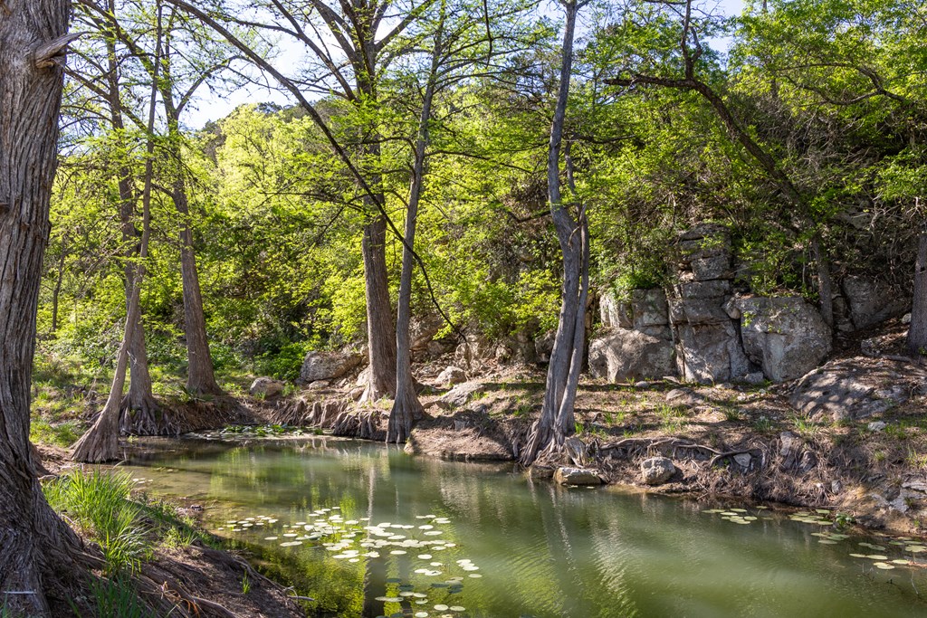 190 Other Boerne, TX 78006 - Photo 15 of 40