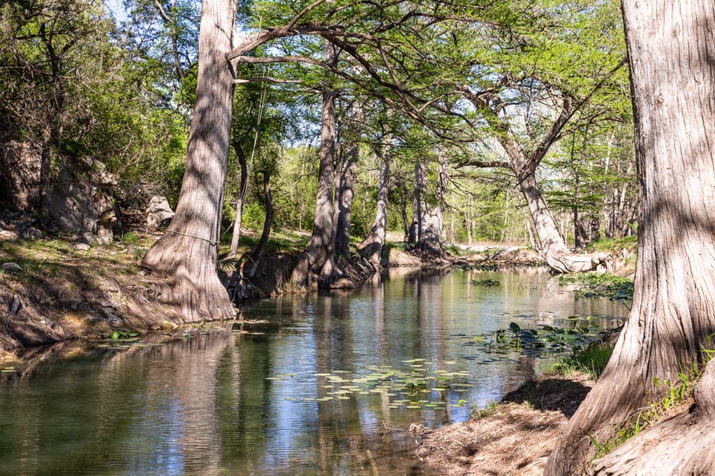 190 Other Boerne, TX 78006 - Photo 16 of 40