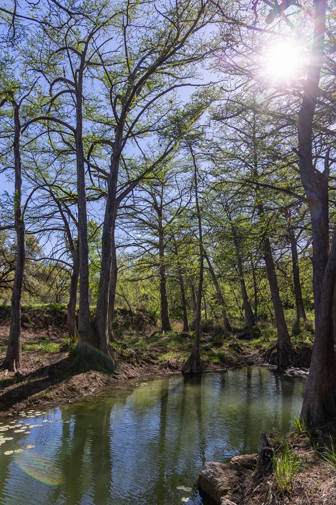 190 Other Boerne, TX 78006 - Photo 17 of 40