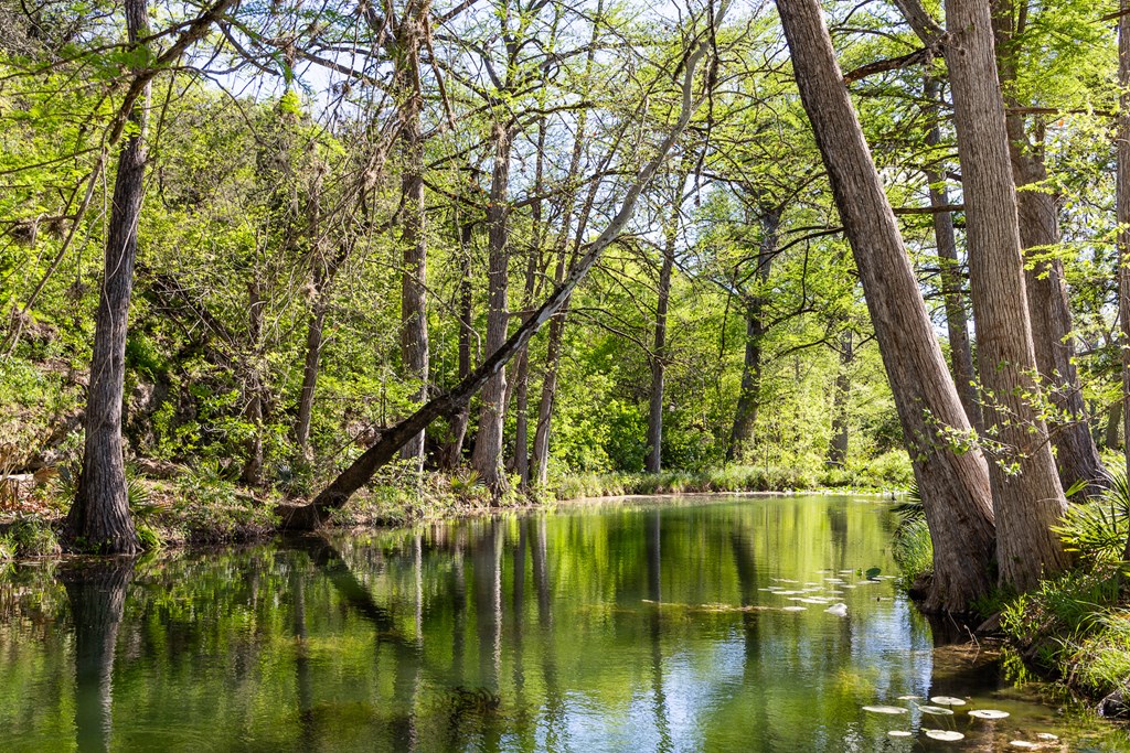 190 Other Boerne, TX 78006 - Photo 18 of 40