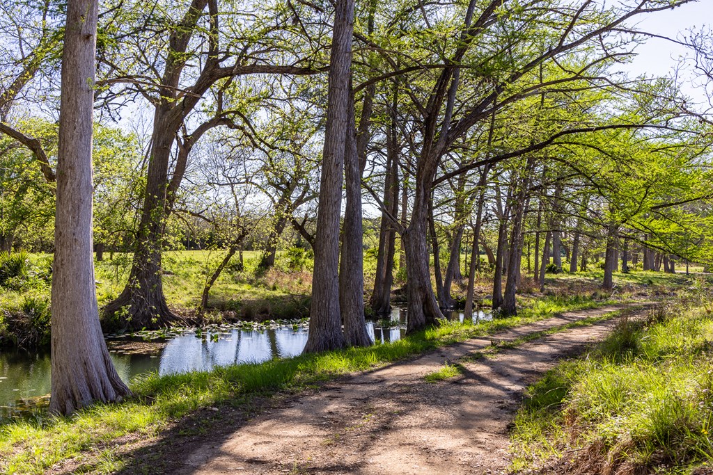 190 Other Boerne, TX 78006 - Photo 19 of 40