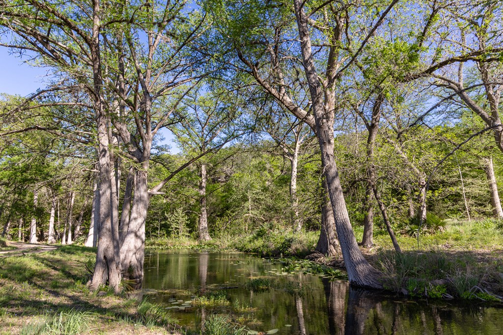 190 Other Boerne, TX 78006 - Photo 20 of 40