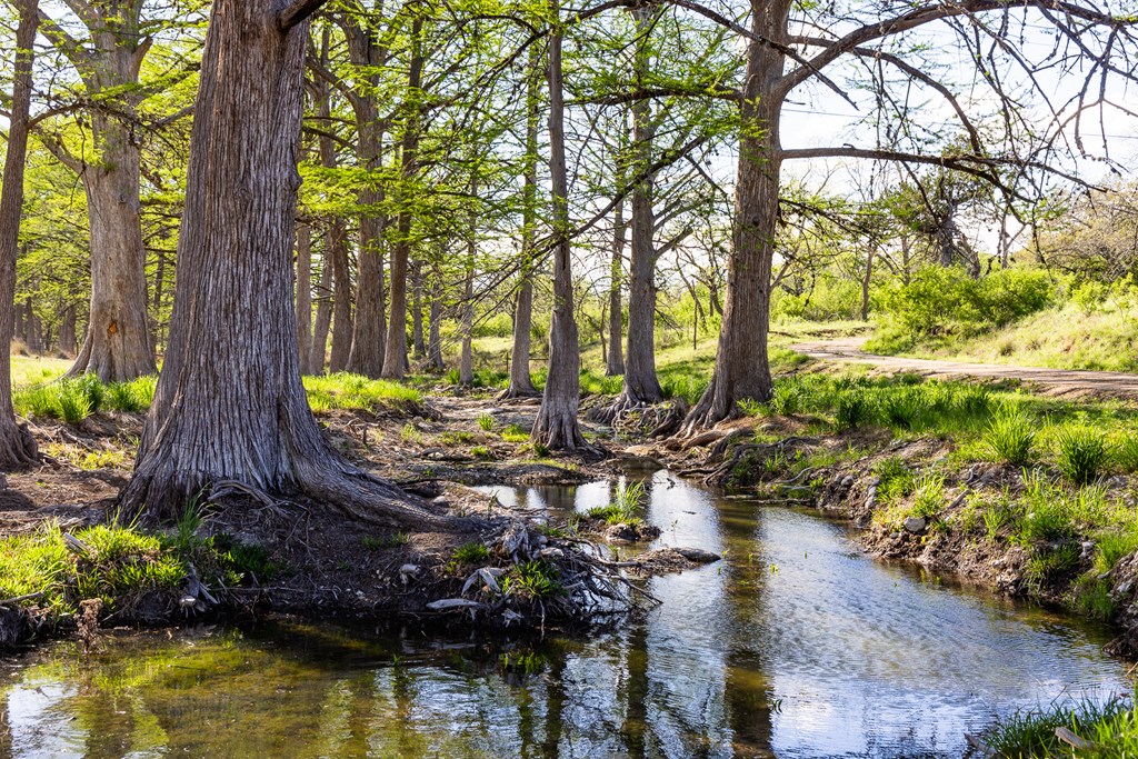 190 Other Boerne, TX 78006 - Photo 21 of 40