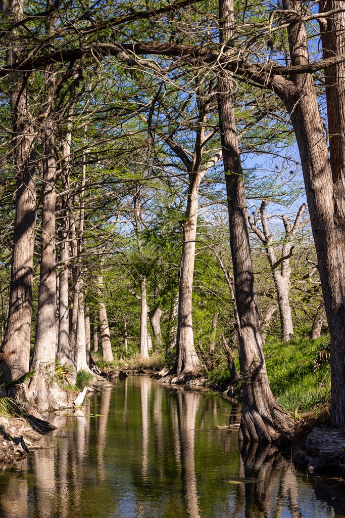 190 Other Boerne, TX 78006 - Photo 22 of 40