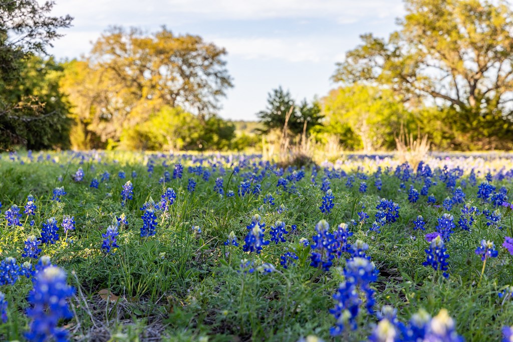 190 Other Boerne, TX 78006 - Photo 25 of 40