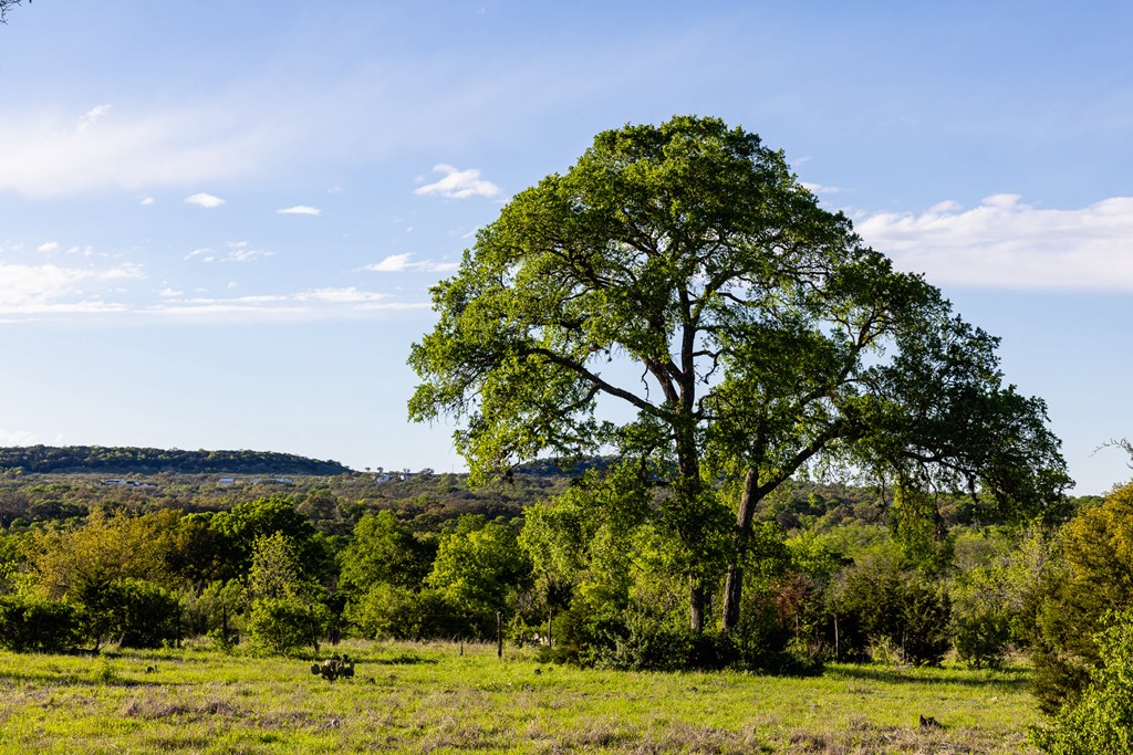 190 Other Boerne, TX 78006 - Photo 26 of 40