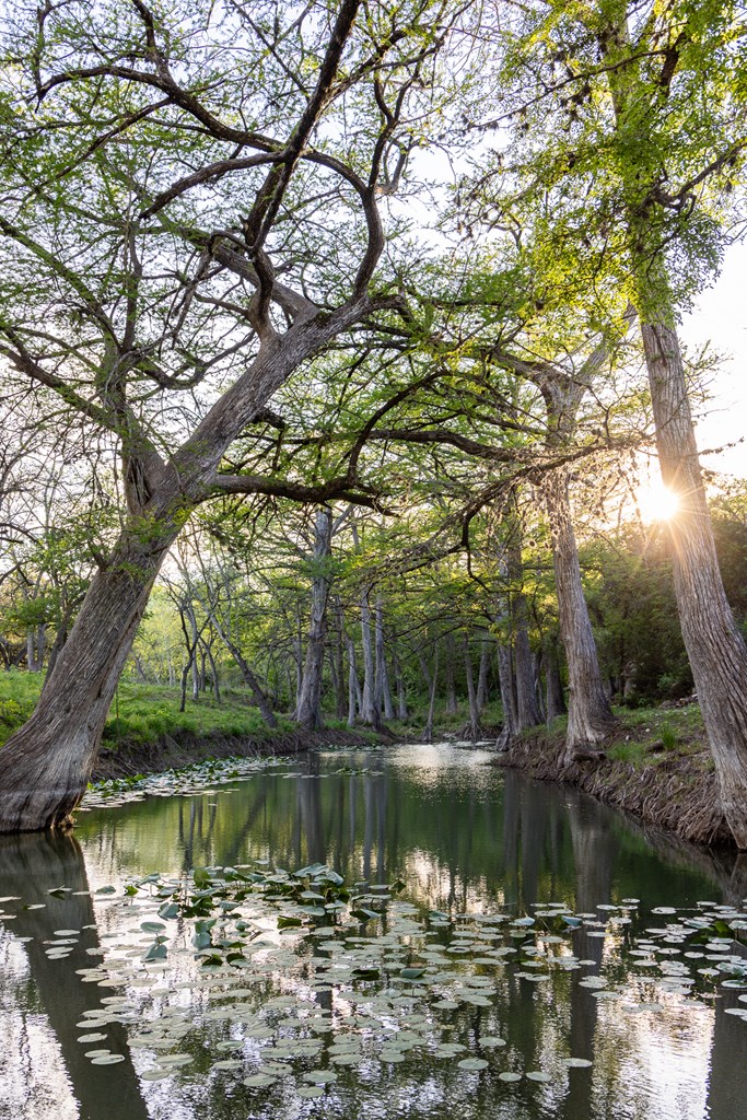190 Other Boerne, TX 78006 - Photo 28 of 40