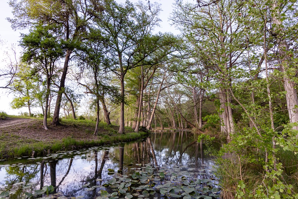 190 Other Boerne, TX 78006 - Photo 29 of 40