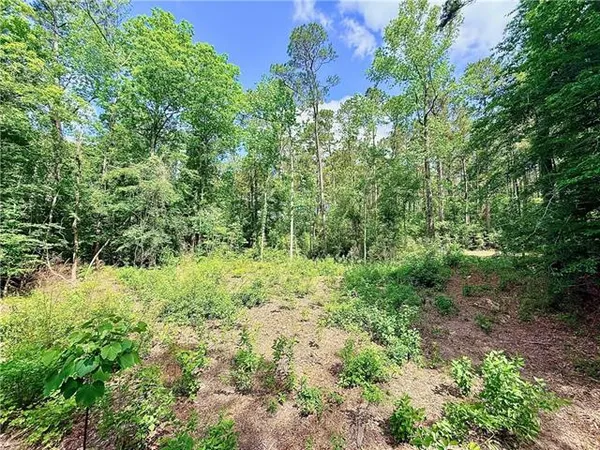 $75,000 | 87474 Vineyard Road, Franklinton, LA 70438