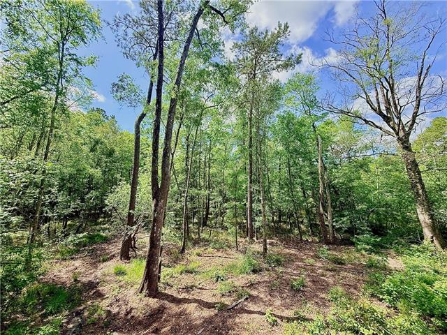 87474 Vineyard Road Franklinton, LA 70438 - Photo 2 of 4