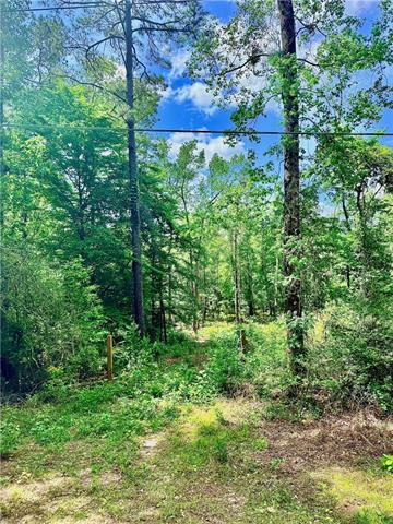 87474 Vineyard Road Franklinton, LA 70438 - Photo 4 of 4