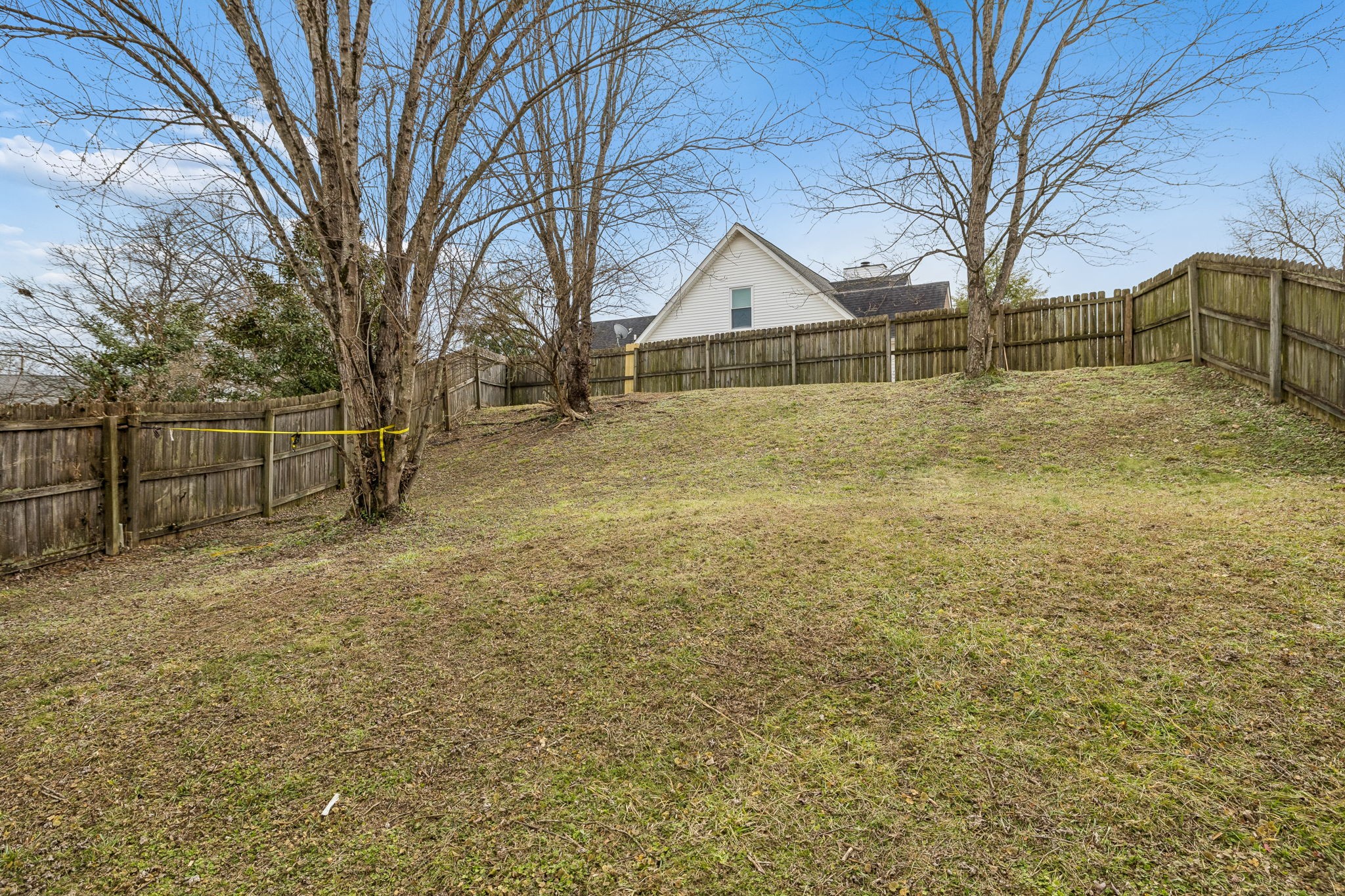 7701 Poplar Ridge Drive Nashville, TN 37221 - Photo 28 of 28 a view of backyard of house