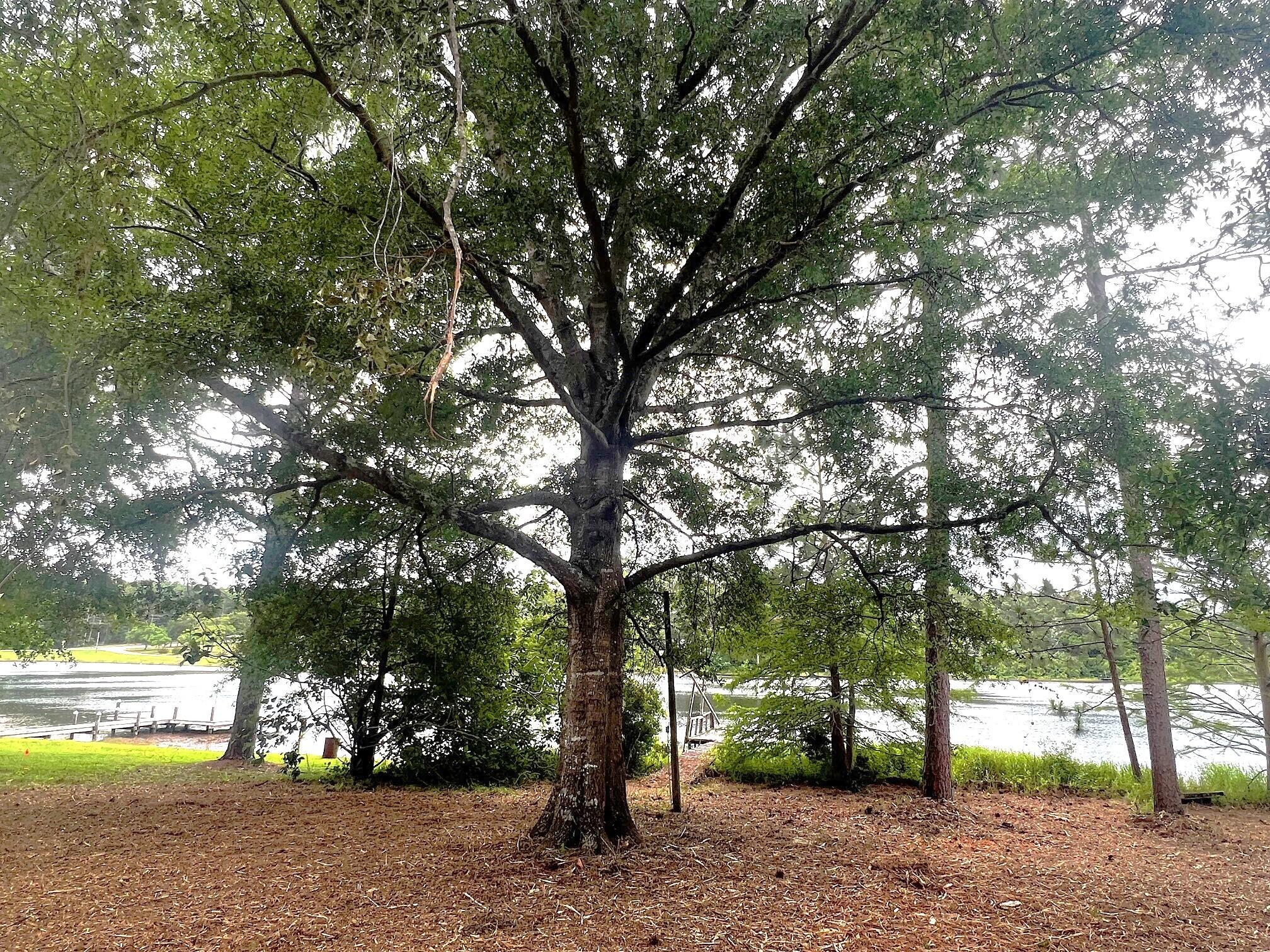 141 Red Eye Road DeFuniak Springs, FL 32433 - Photo 22 of 35 IMG_2813