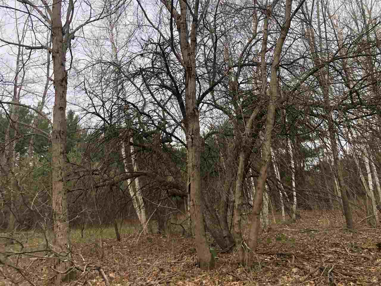 40-acres East Cranberry Lake Road Harrison, MI 48625 - Photo 15 of 21