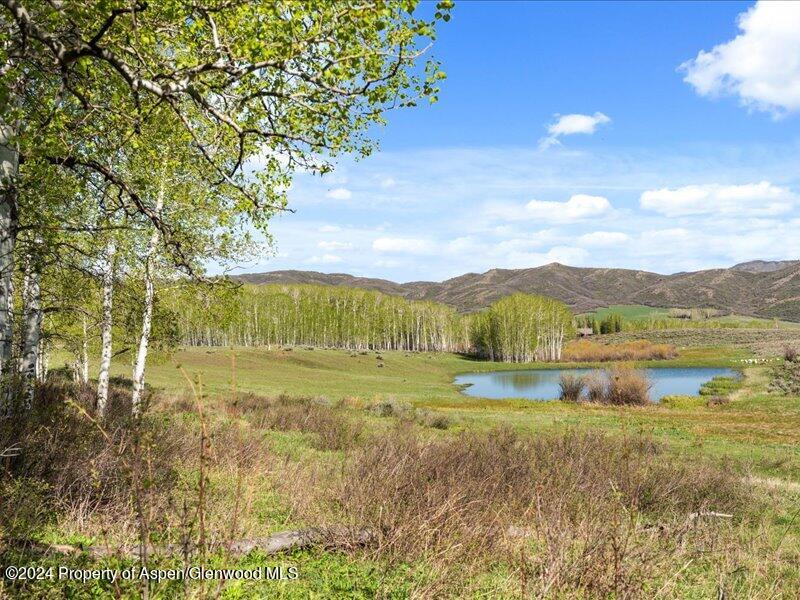 1333 West Buttermilk Road Aspen, CO 81611 - Photo 1 of 27 49-1313_1333wBmilk_24052049