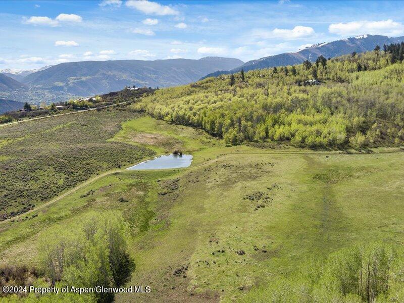 1333 West Buttermilk Road Aspen, CO 81611 - Photo 14 of 27 10-1313_1333wBmilk_24052010