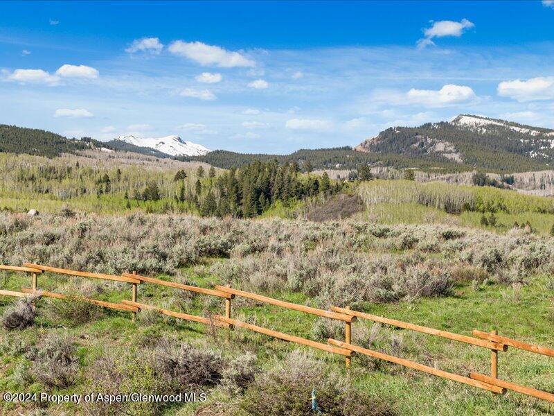 1333 West Buttermilk Road Aspen, CO 81611 - Photo 17 of 27 39-1313_1333wBmilk_24052039