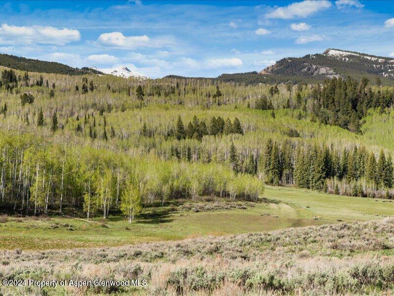 1333 West Buttermilk Road Aspen, CO 81611 - Photo 18 of 27 43-1313_1333wBmilk_24052043