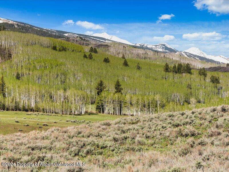 1333 West Buttermilk Road Aspen, CO 81611 - Photo 19 of 27 44-1313_1333wBmilk_24052044