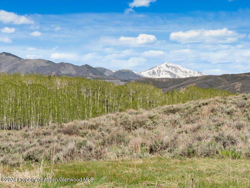 1333 West Buttermilk Road Aspen, CO 81611 - Photo 20 of 27 45-1313_1333wBmilk_24052045