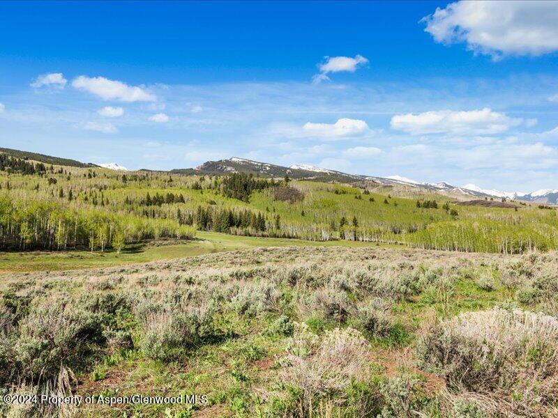 1333 West Buttermilk Road Aspen, CO 81611 - Photo 2 of 27 42-1313_1333wBmilk_24052042