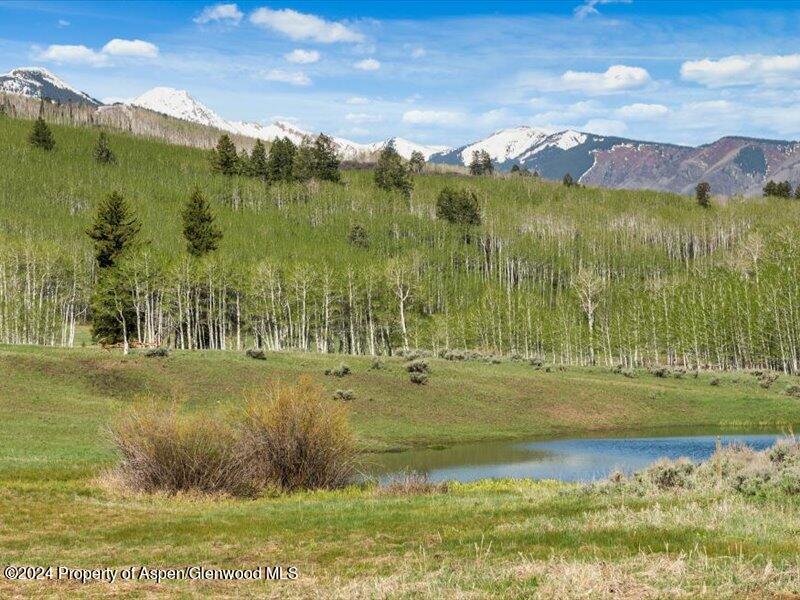 1333 West Buttermilk Road Aspen, CO 81611 - Photo 21 of 27 46-1313_1333wBmilk_24052046
