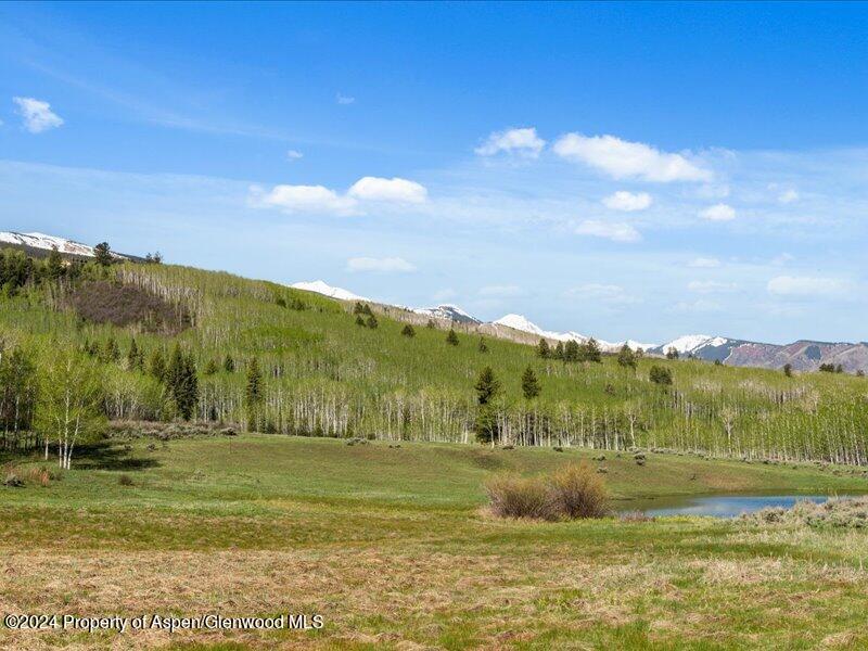 1333 West Buttermilk Road Aspen, CO 81611 - Photo 22 of 27 47-1313_1333wBmilk_24052047