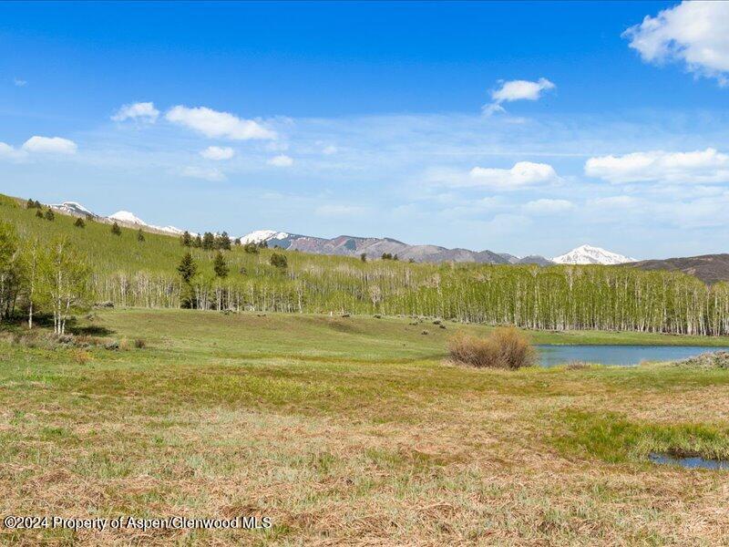 1333 West Buttermilk Road Aspen, CO 81611 - Photo 23 of 27 48-1313_1333wBmilk_24052048